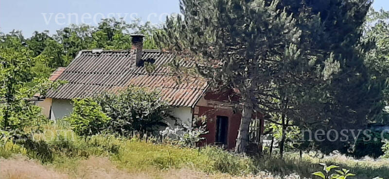 Ingatlan