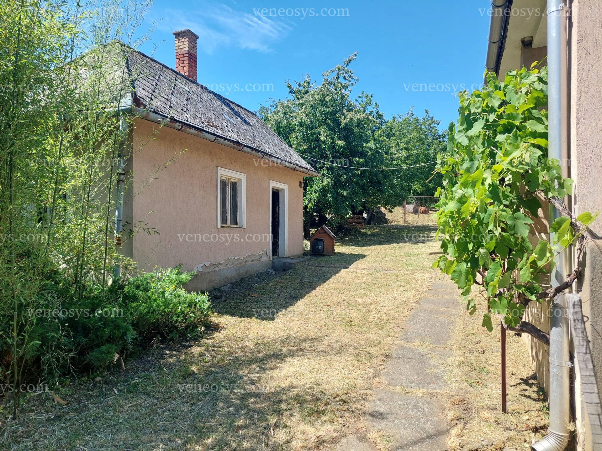 Kép 19
