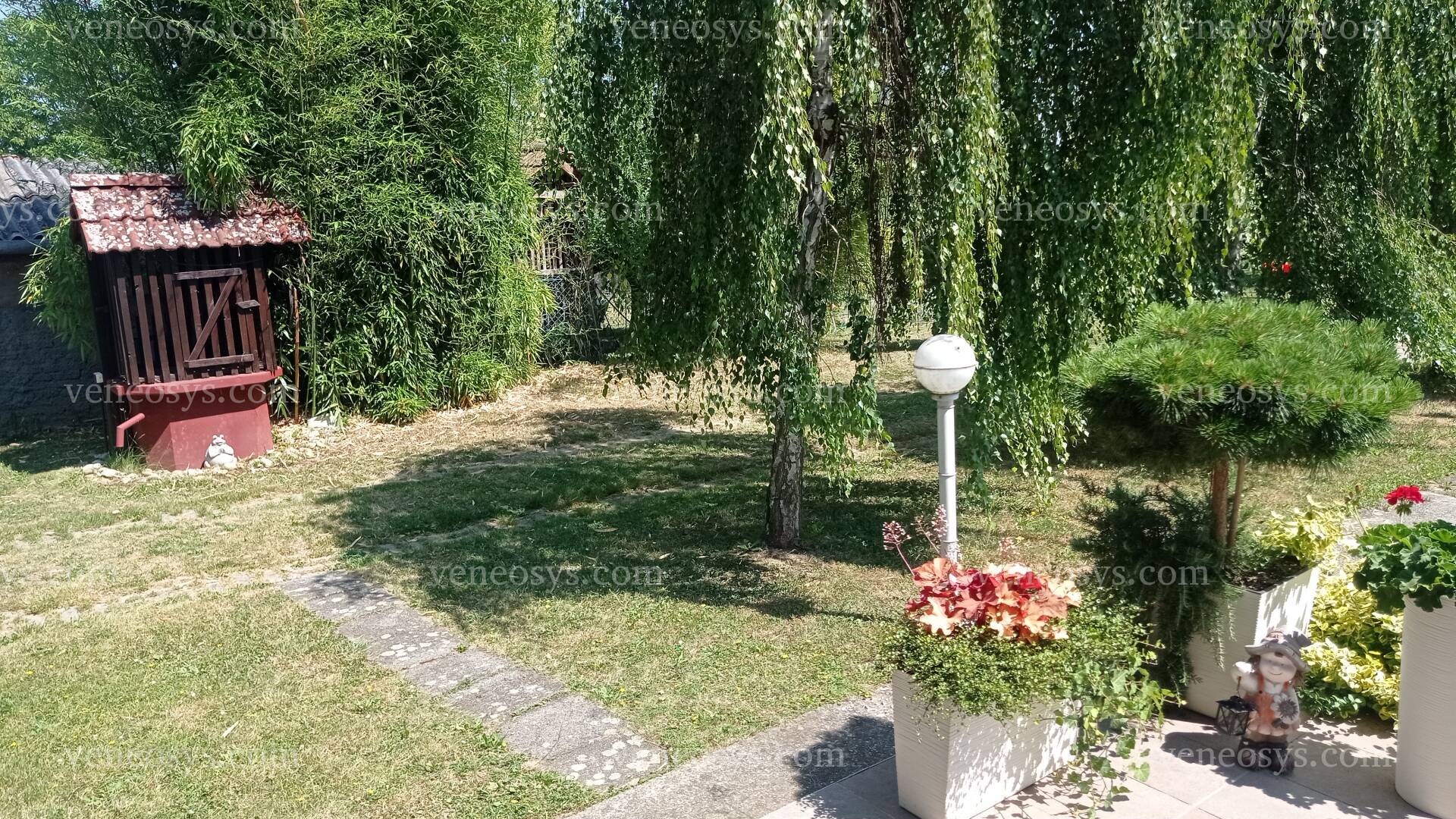 Kép 66
