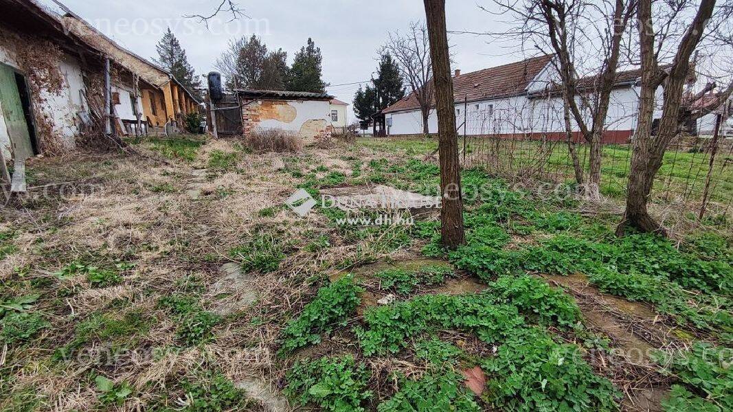 Kép 4