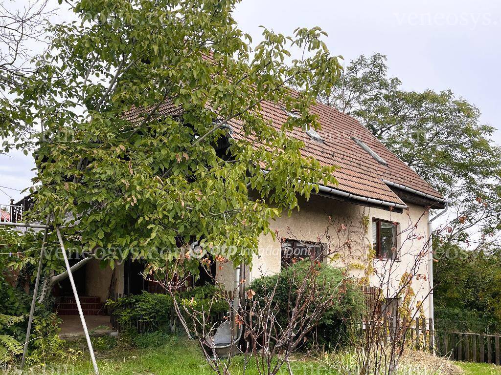 Kép 26