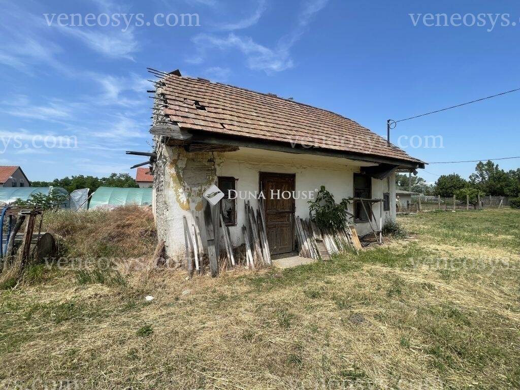 Kép 5