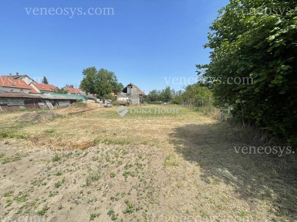 Kép 4