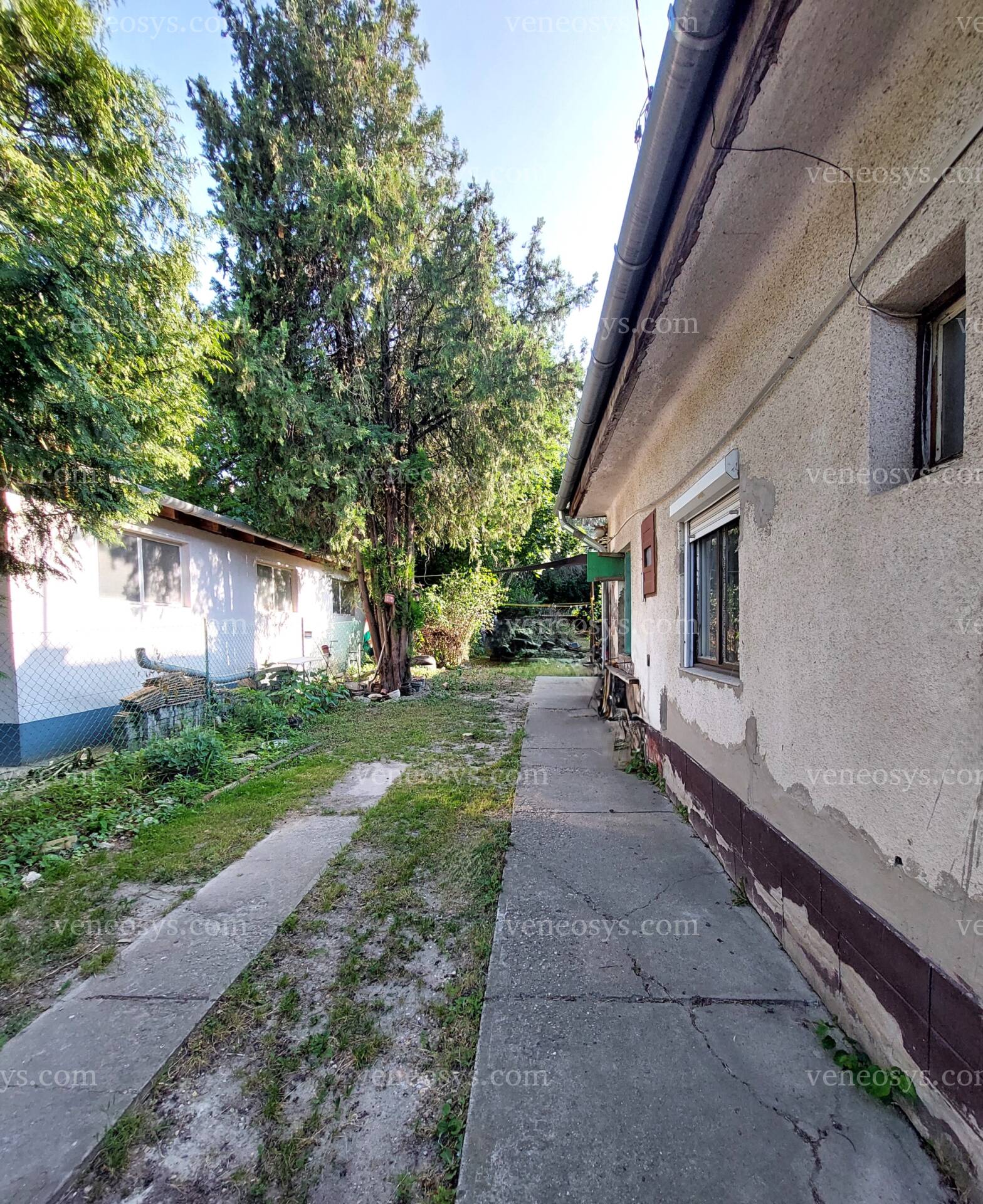 Kép 12