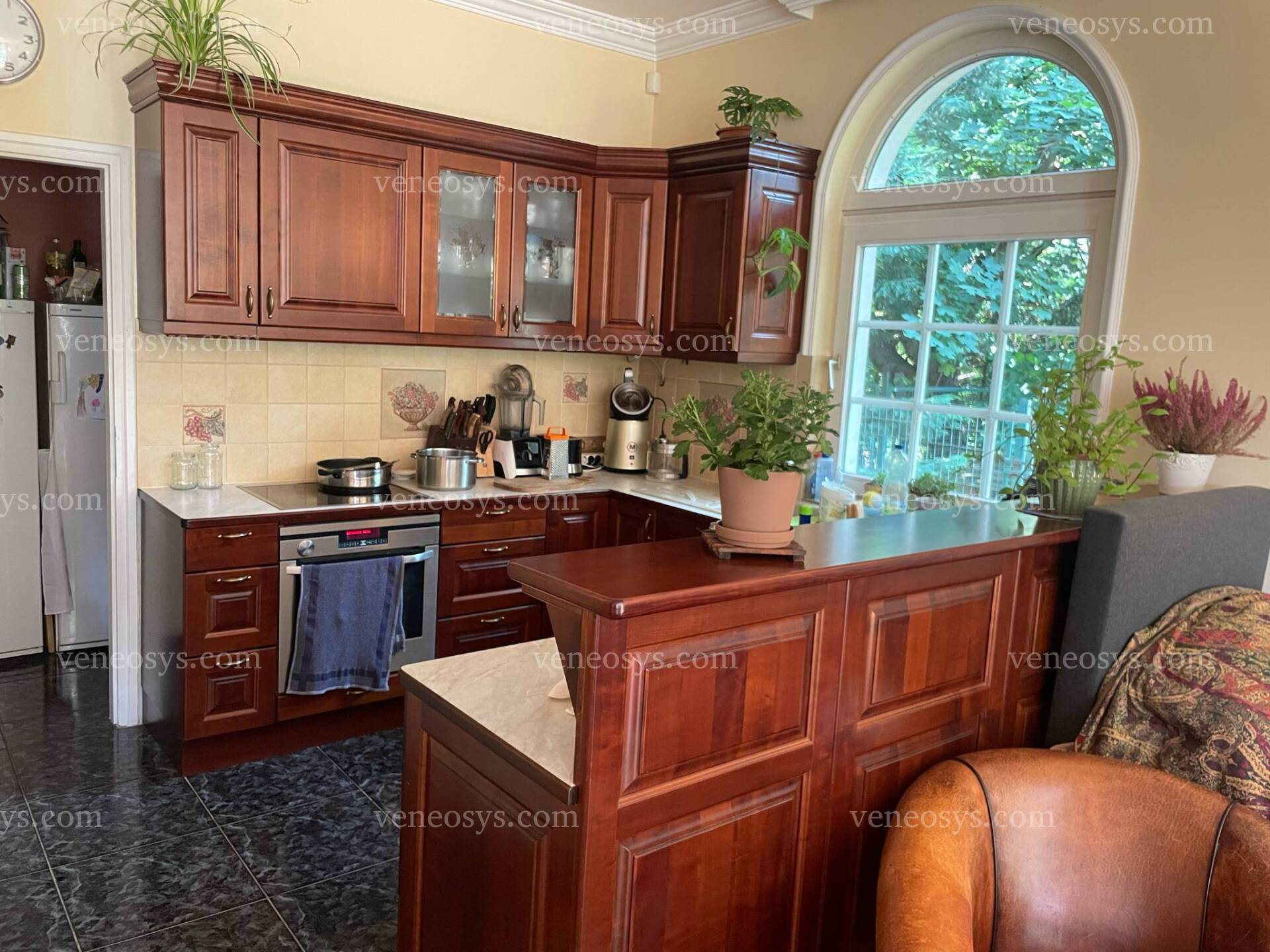 Kép 6