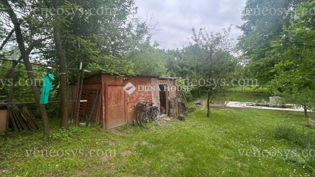 Kép 8