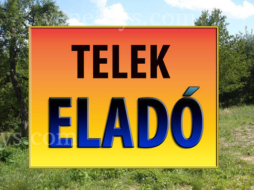 Kép 3