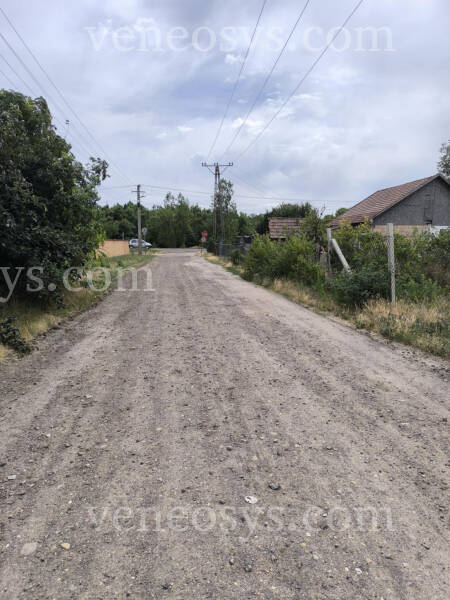 Kép 7