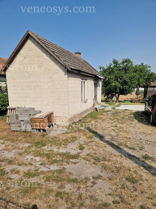 Kép 1