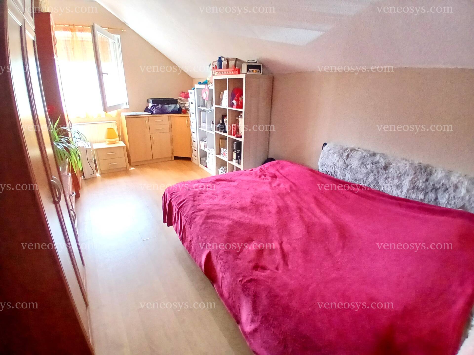 Kép 12