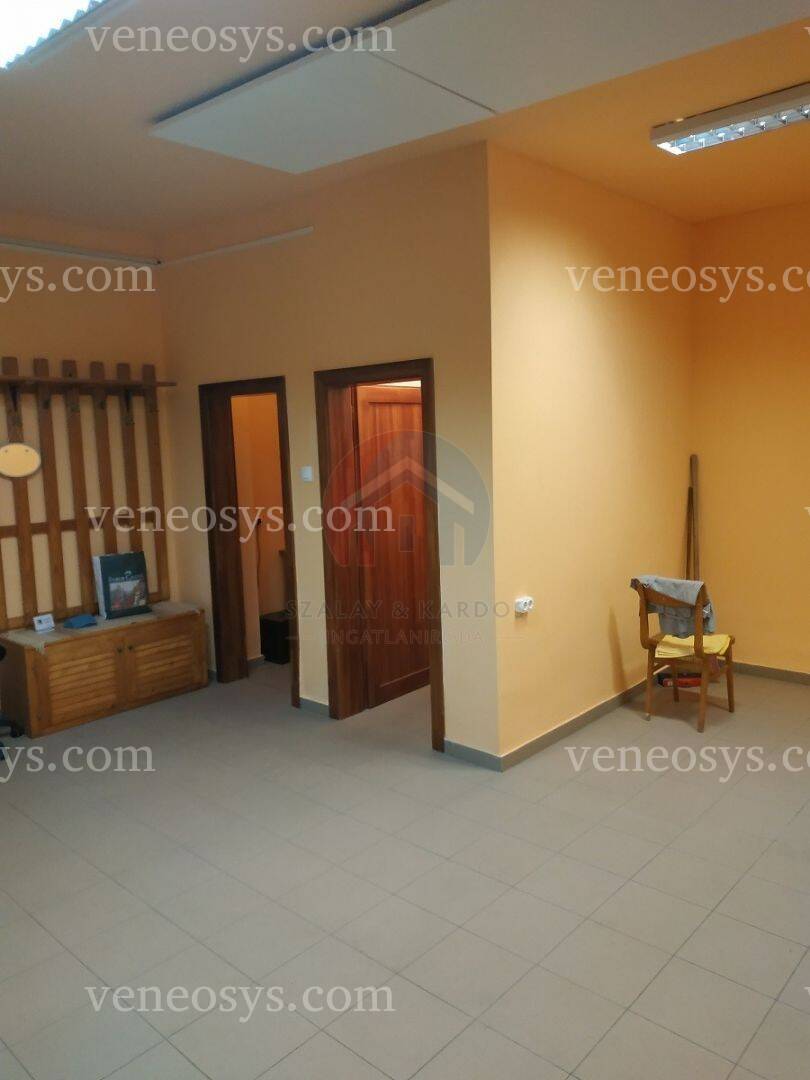 Kép 5