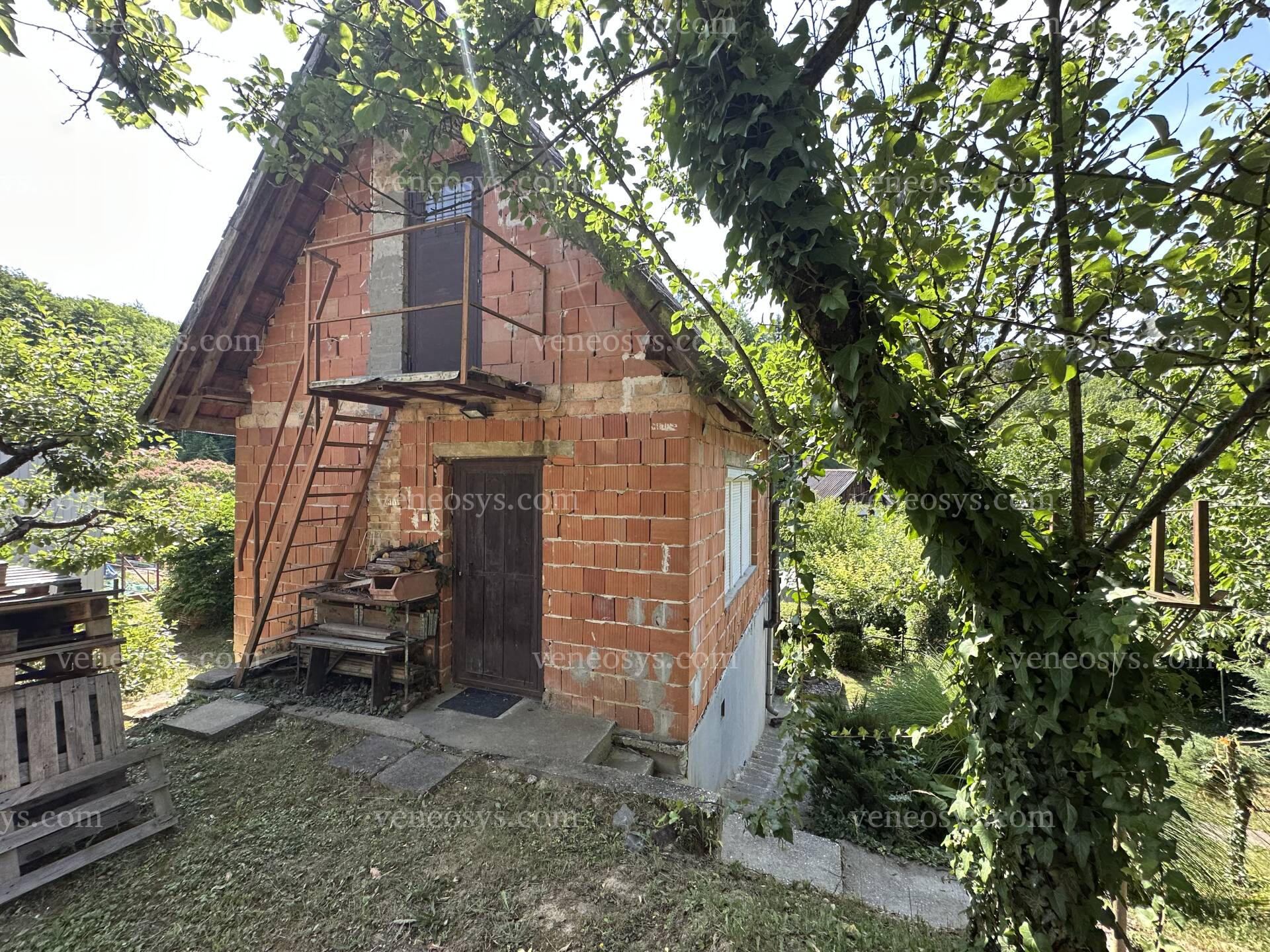 Kép 11