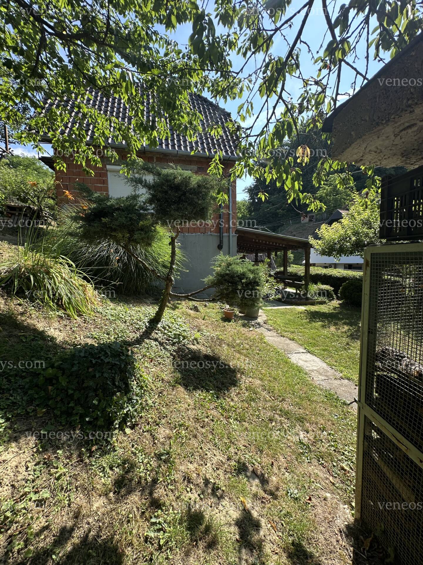 Kép 13