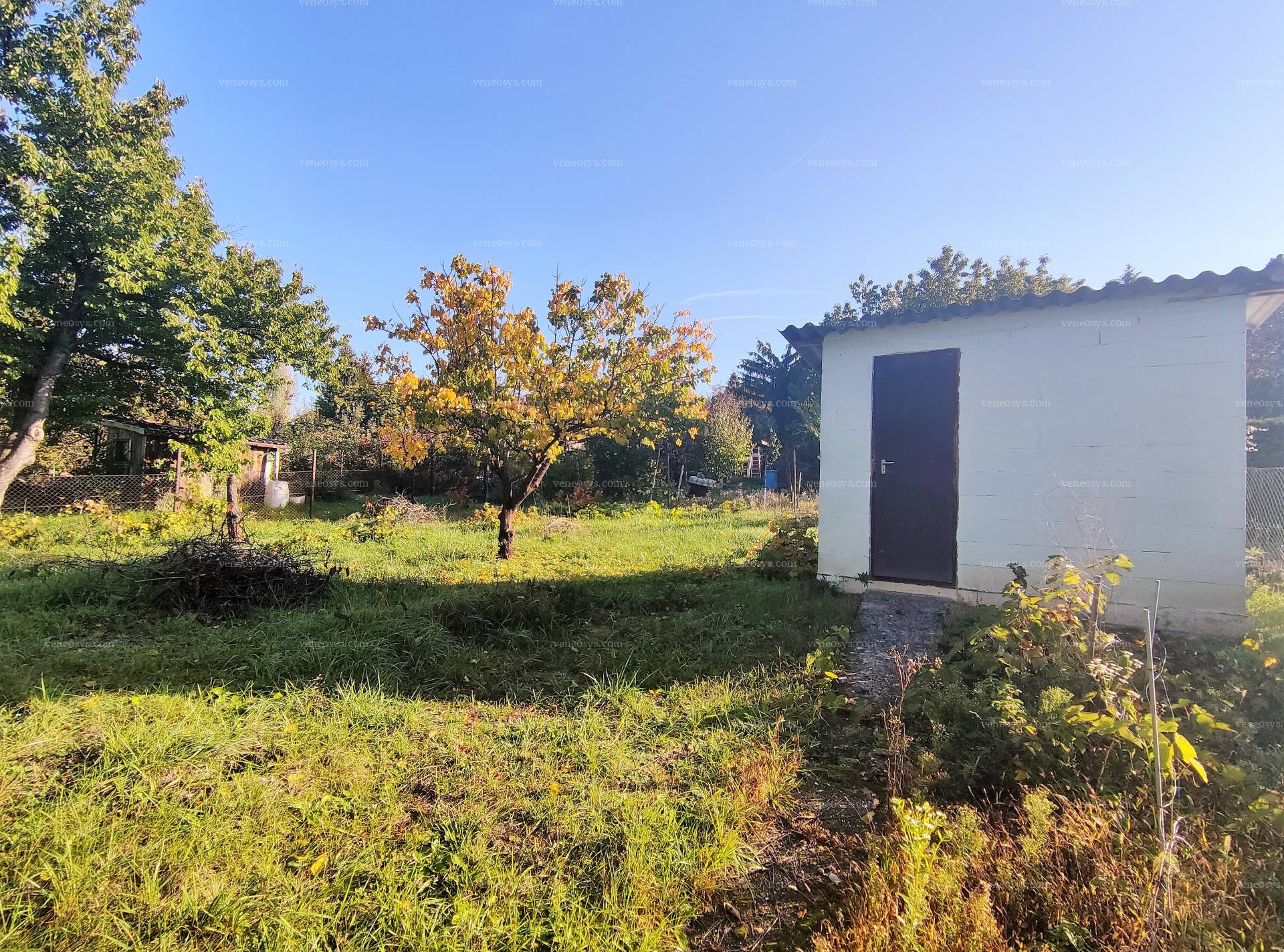 Kép 5