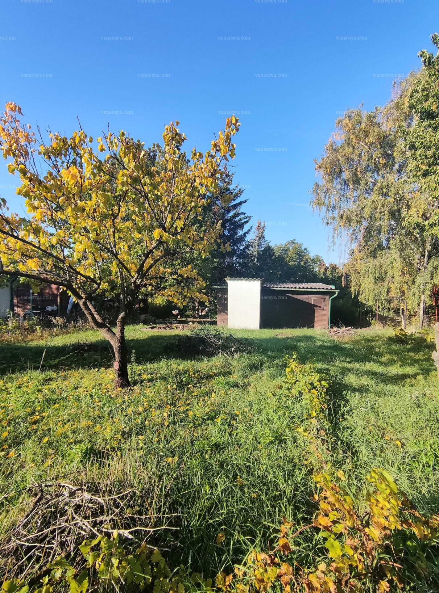 Kép 6