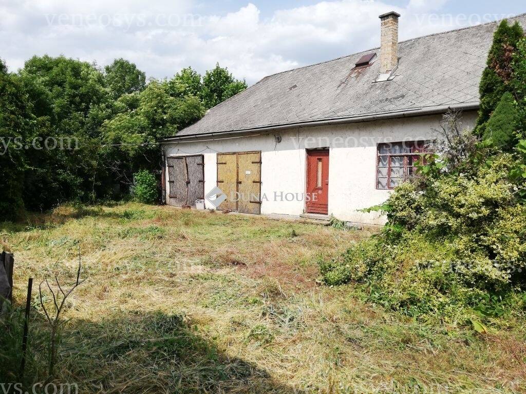 Kép 7