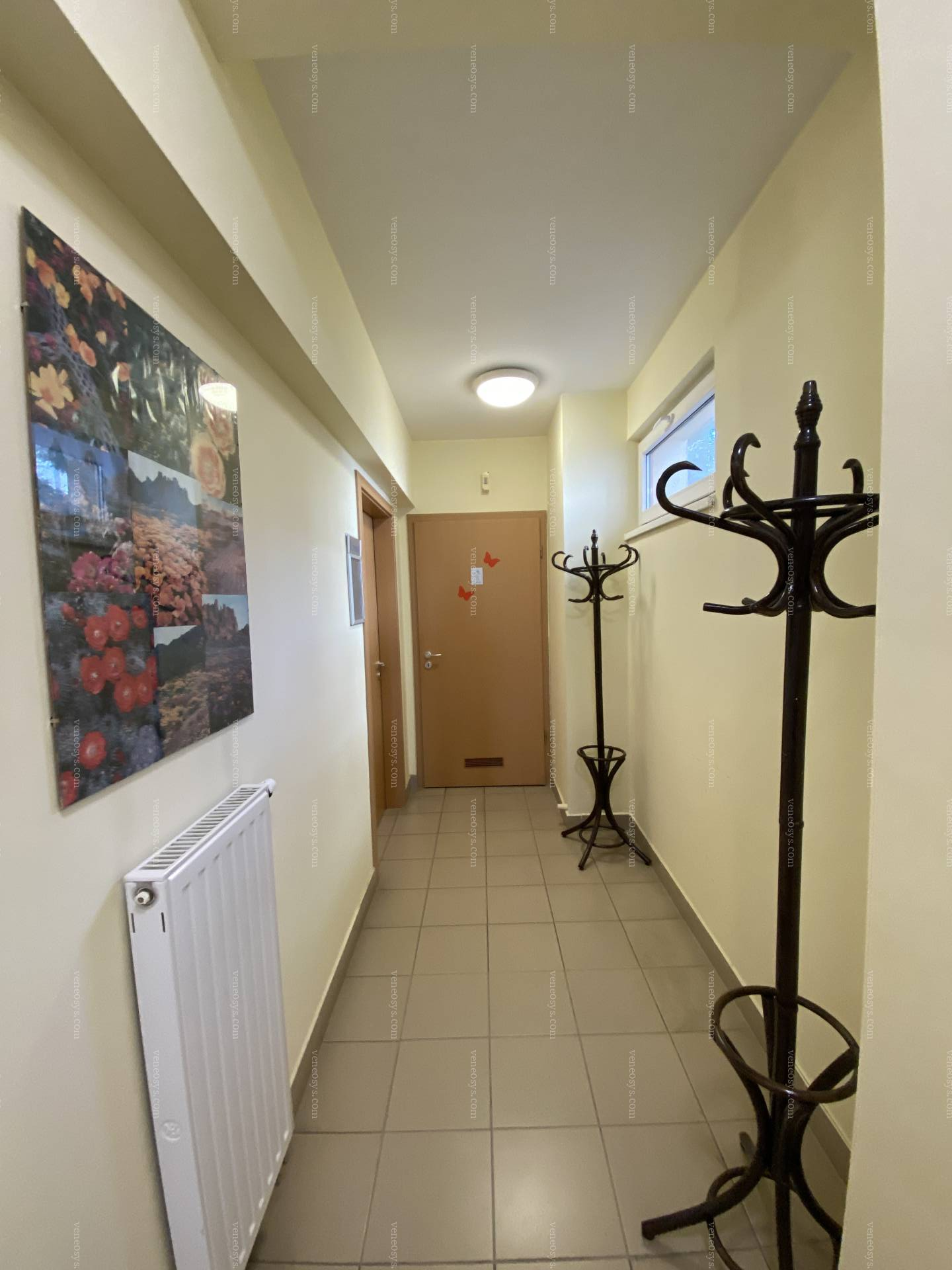 Kép 7