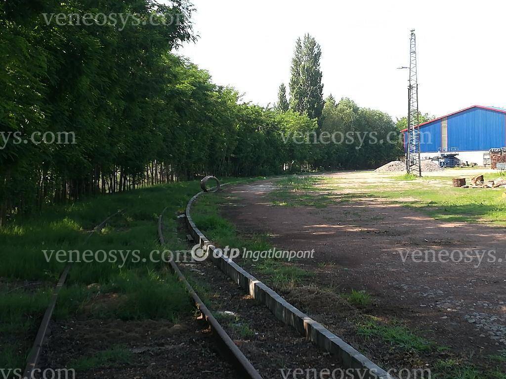 Kép 8