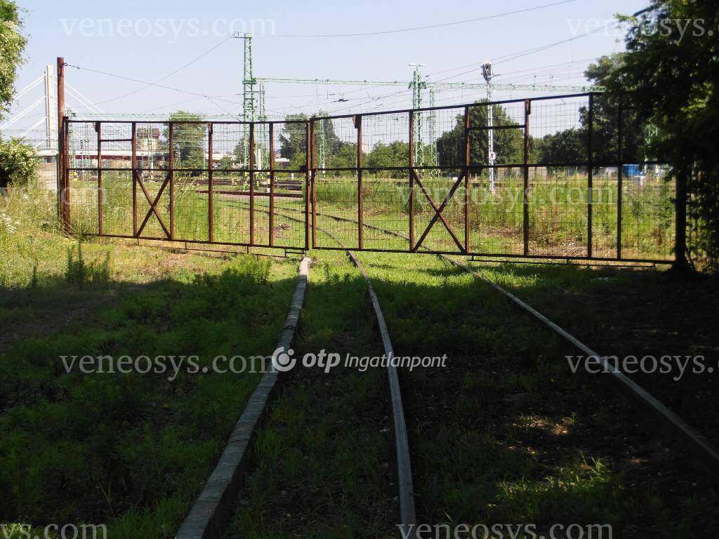 Kép 10