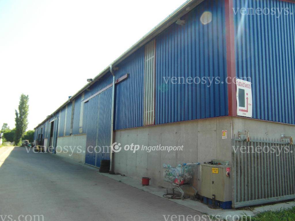 Kép 3
