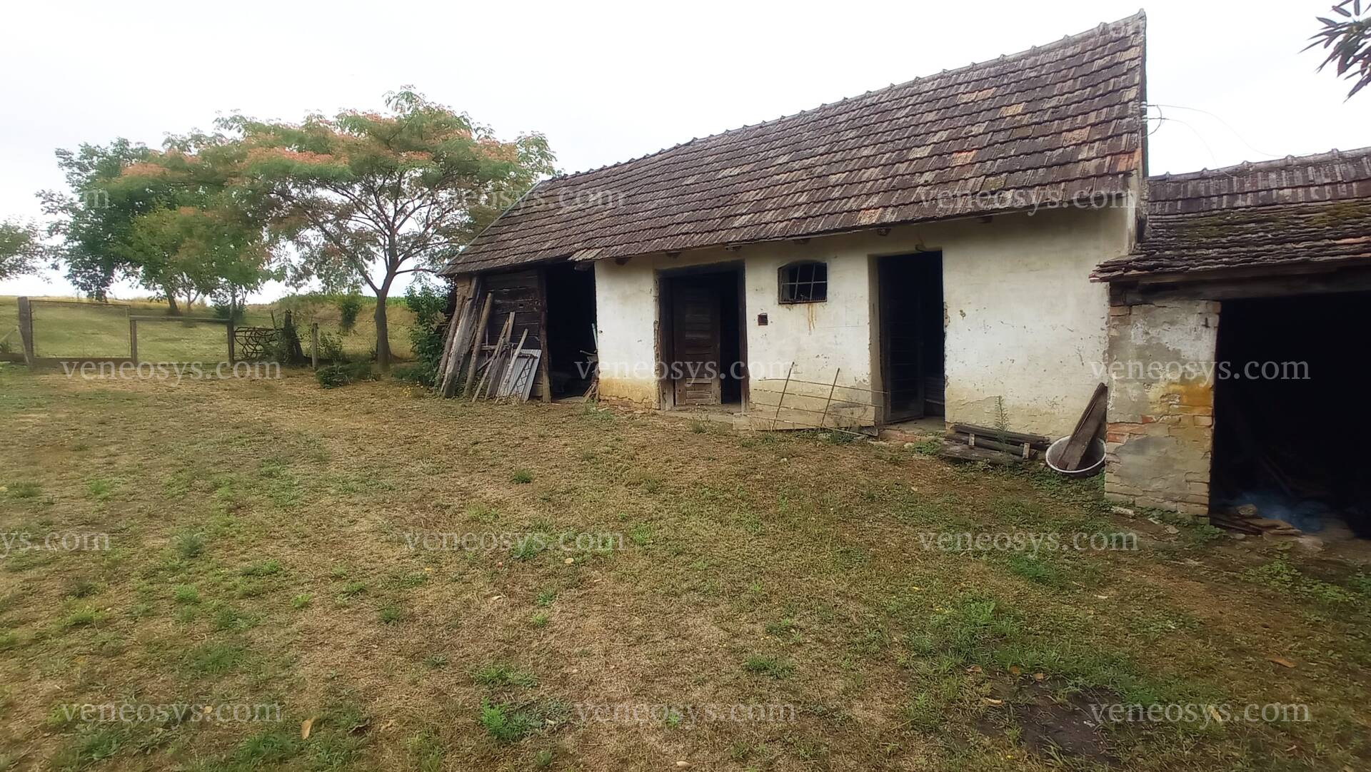 Kép 38