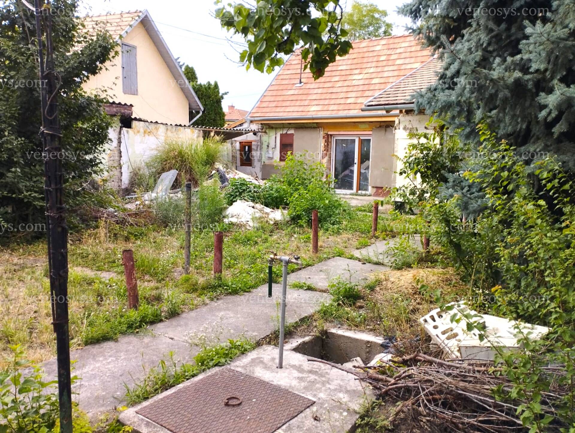 Kép 12