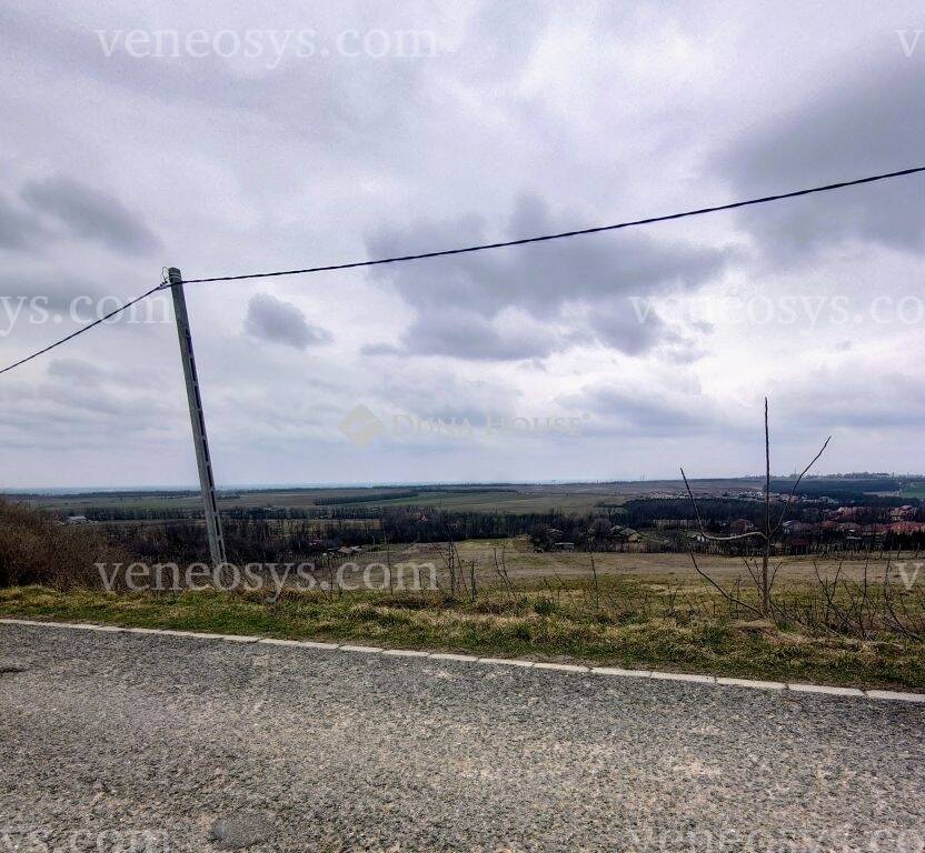 Kép 5