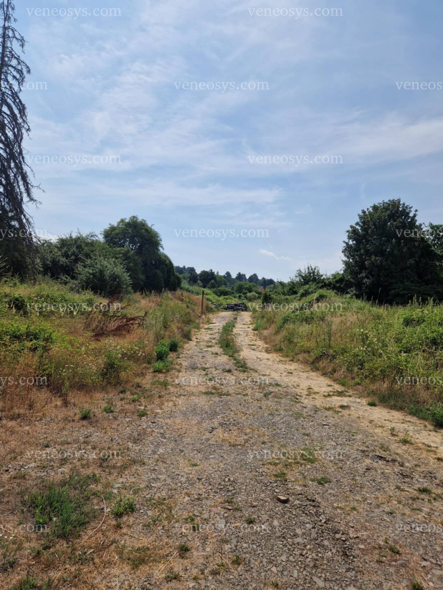Kép 13