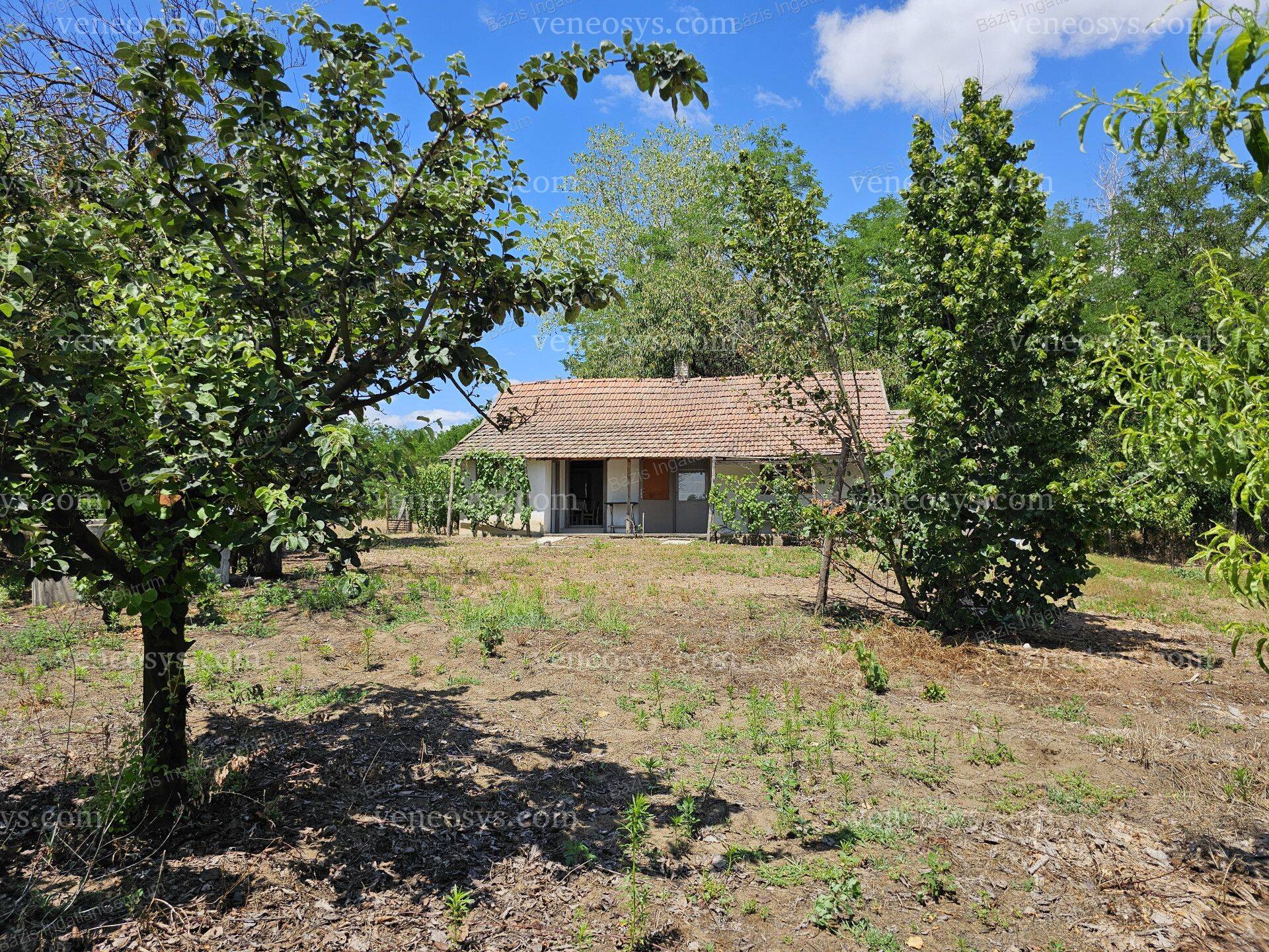 Kép 15