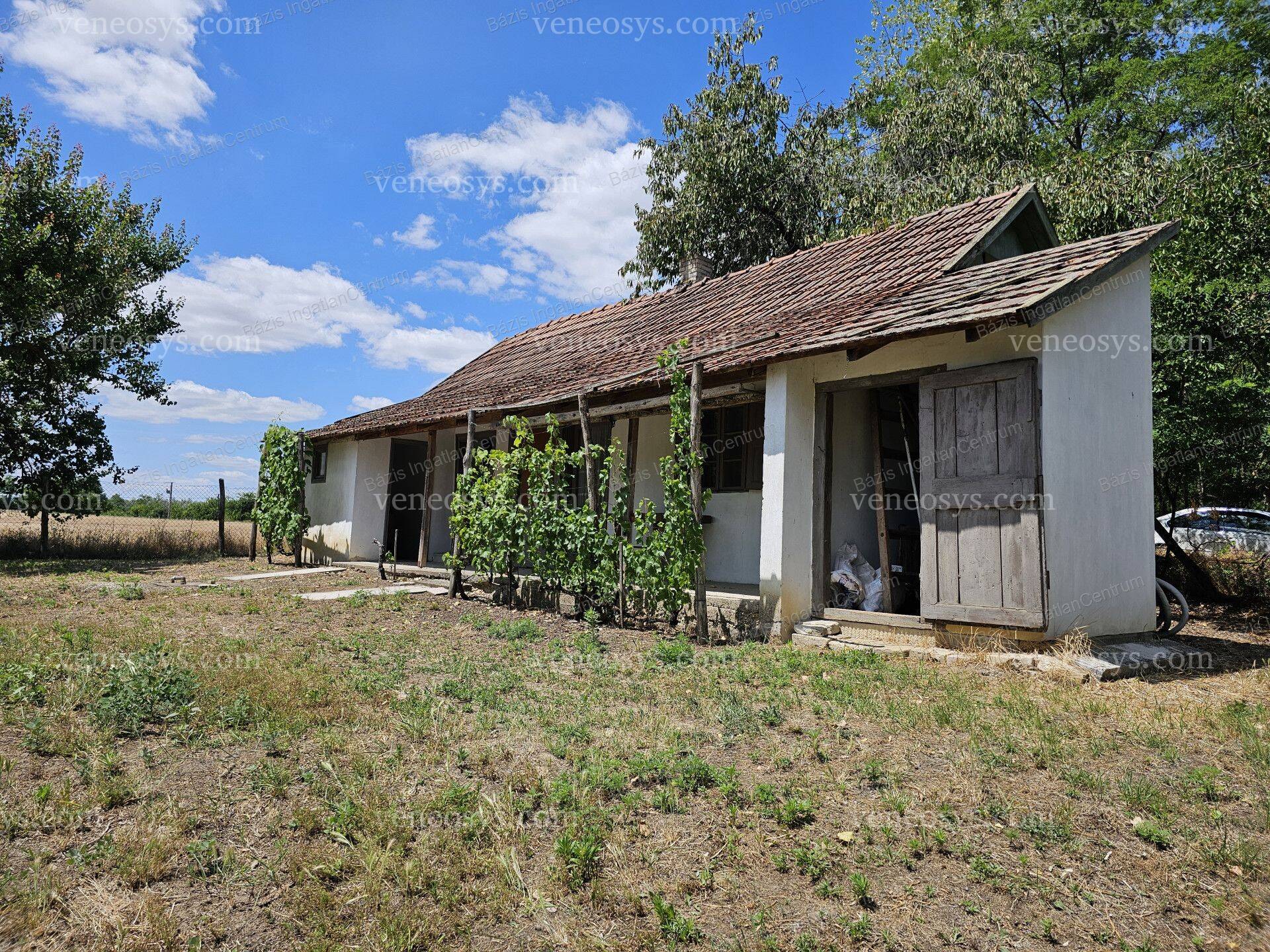 Kép 3
