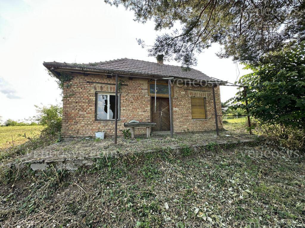 Kép 5