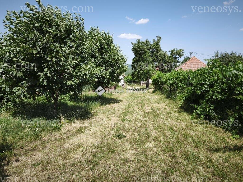 Kép 7