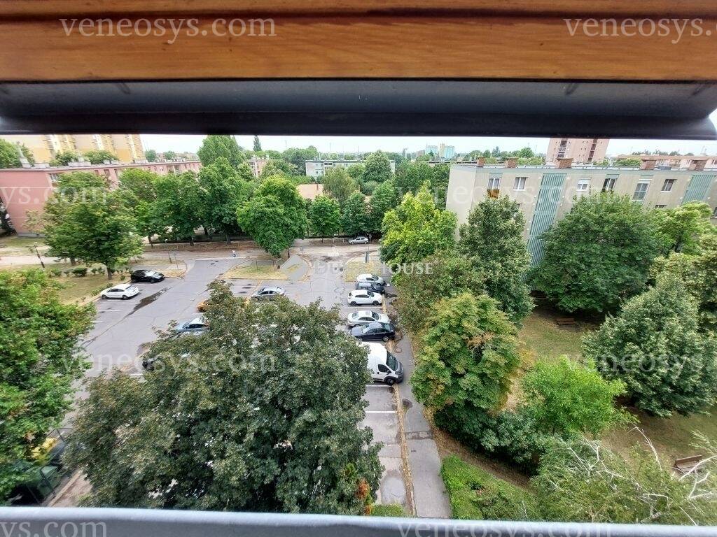 Kép 9