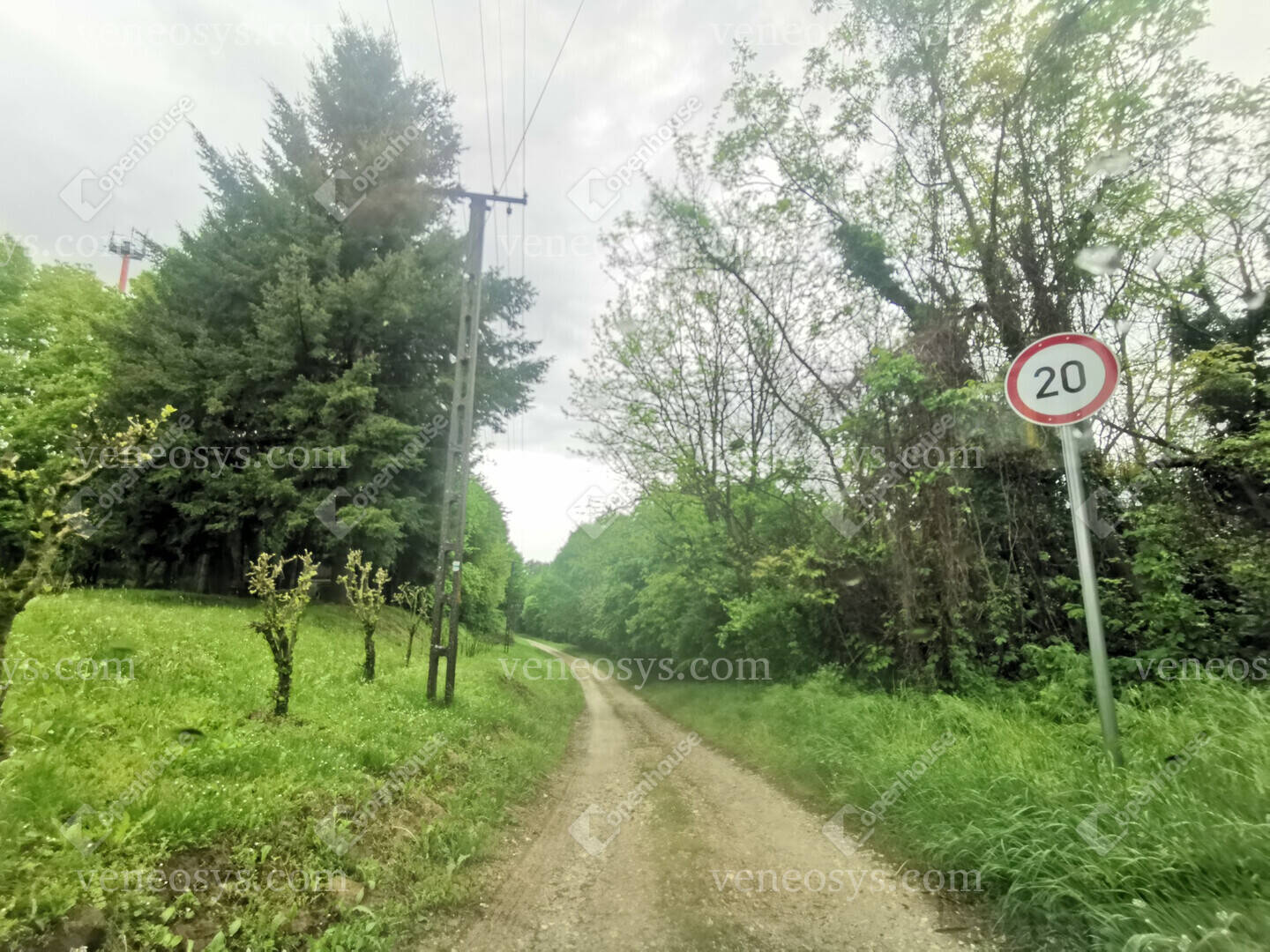 Kép 10