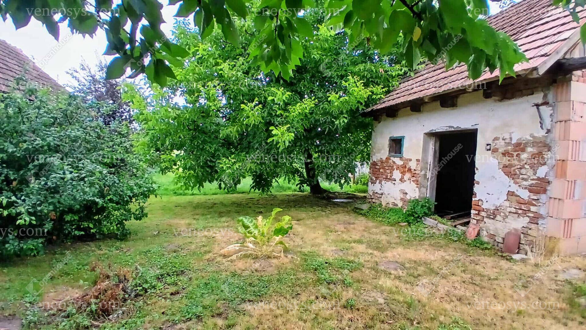 Kép 9