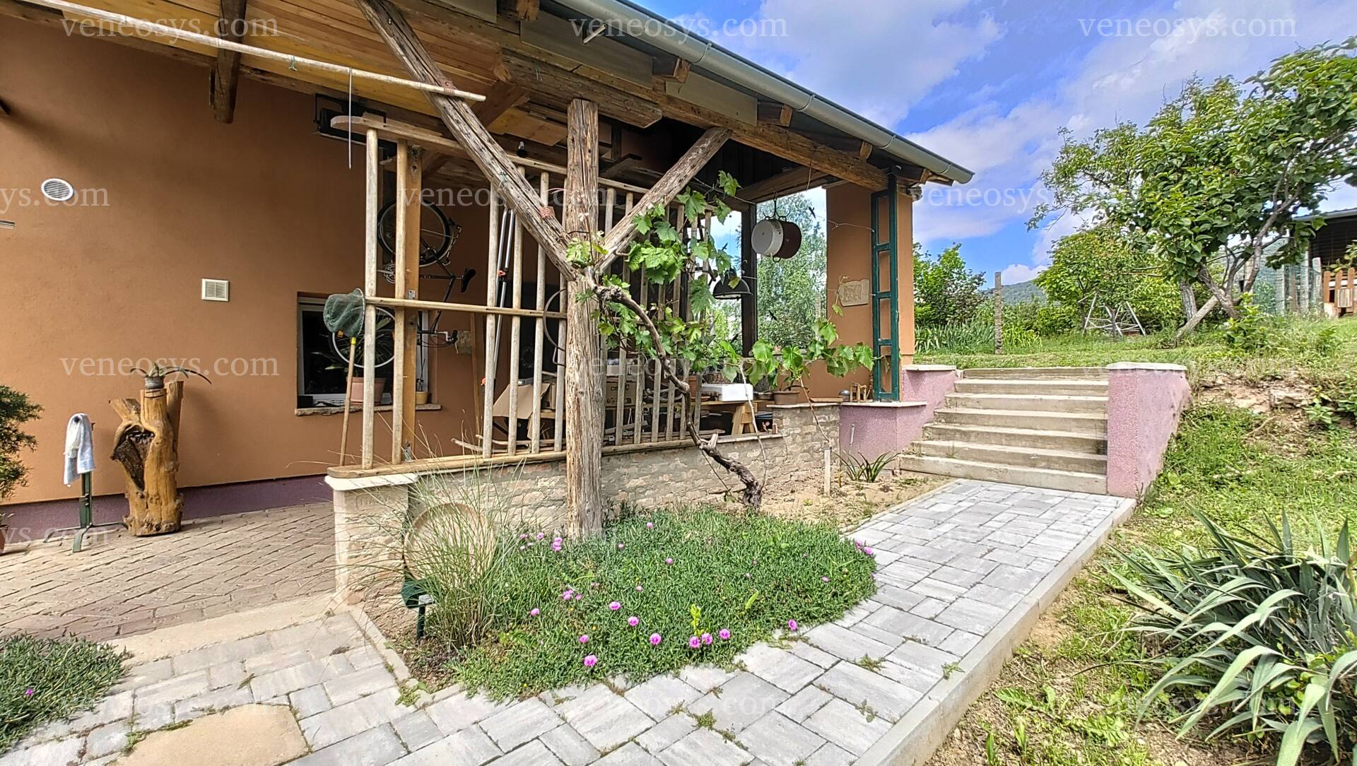 Kép 5