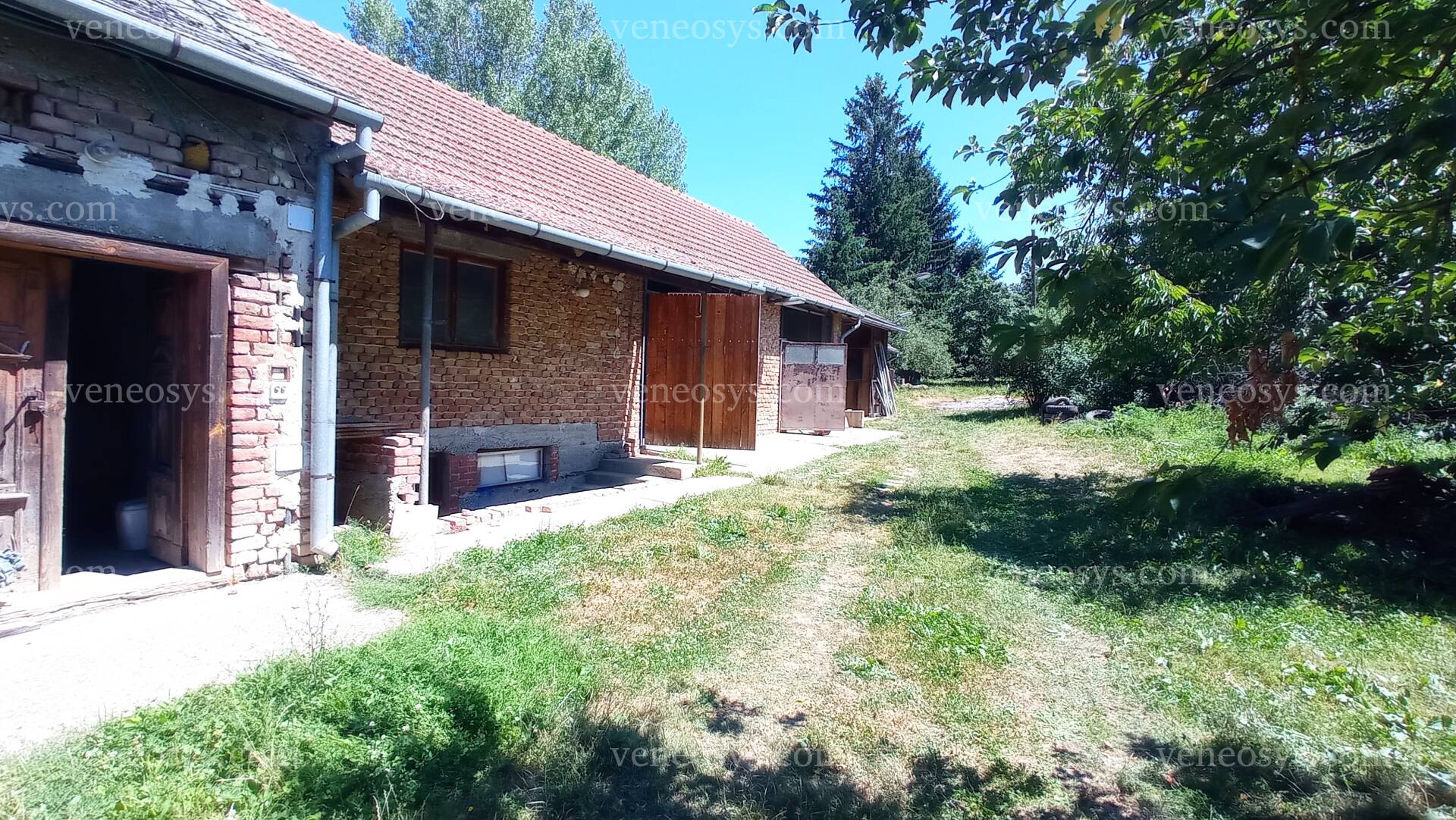 Kép 43