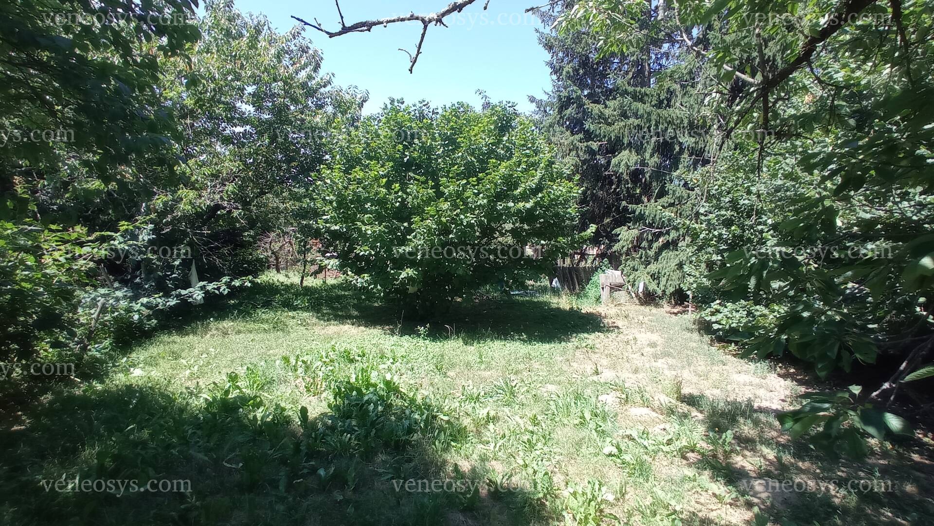 Kép 27