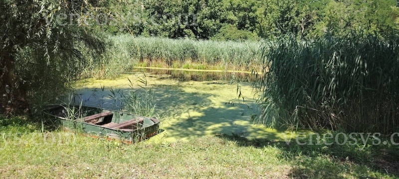 Kép 3