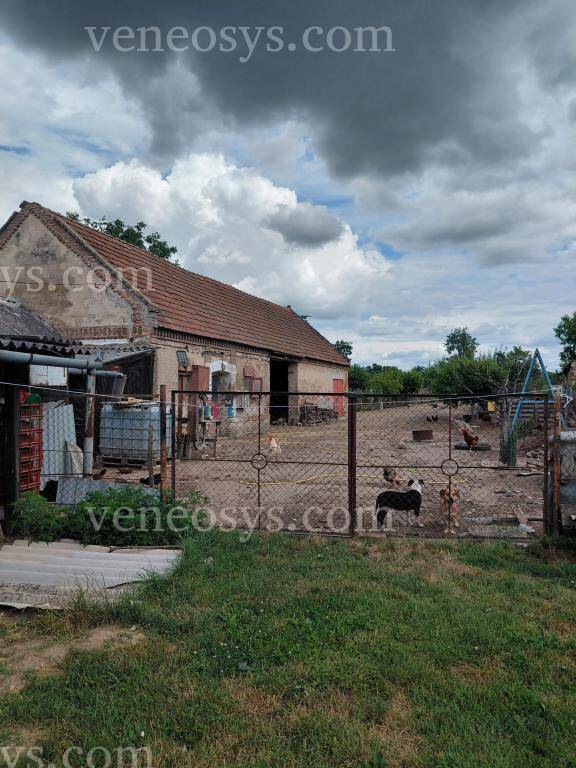 Kép 5