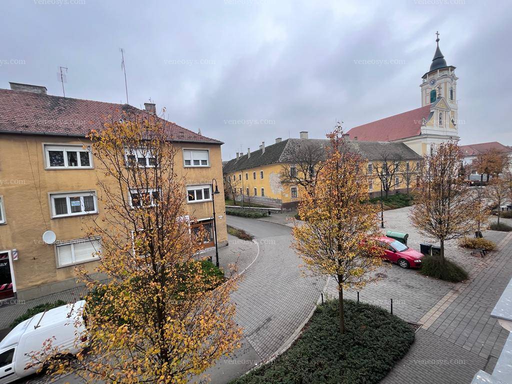 Kép 8