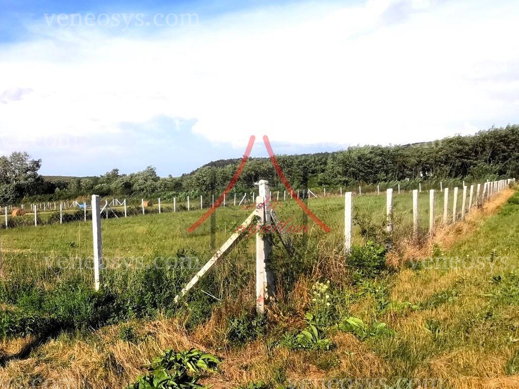 Kép 8