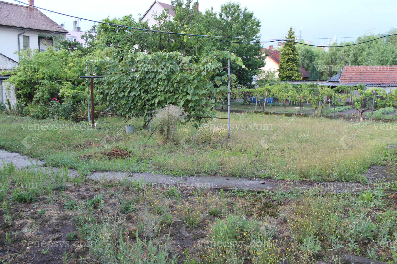 Kép 9