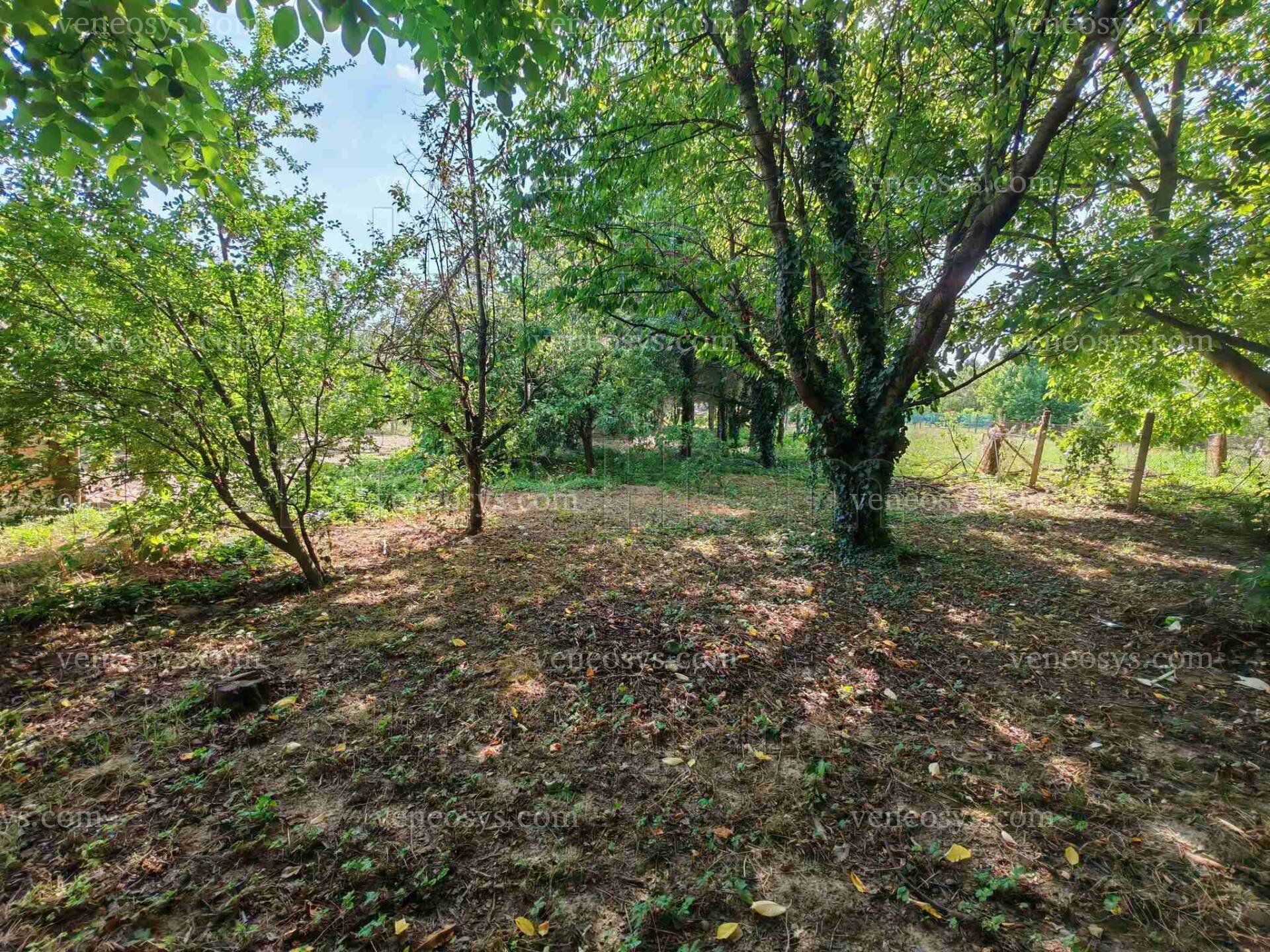 Zalavár