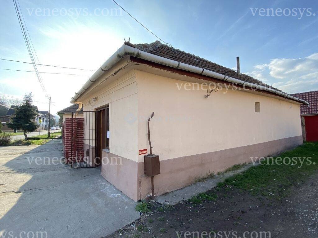 Kép 10