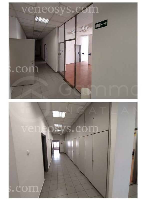 Kép 6