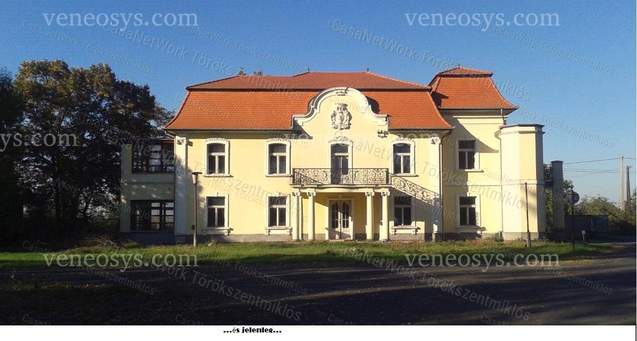 Kép 6