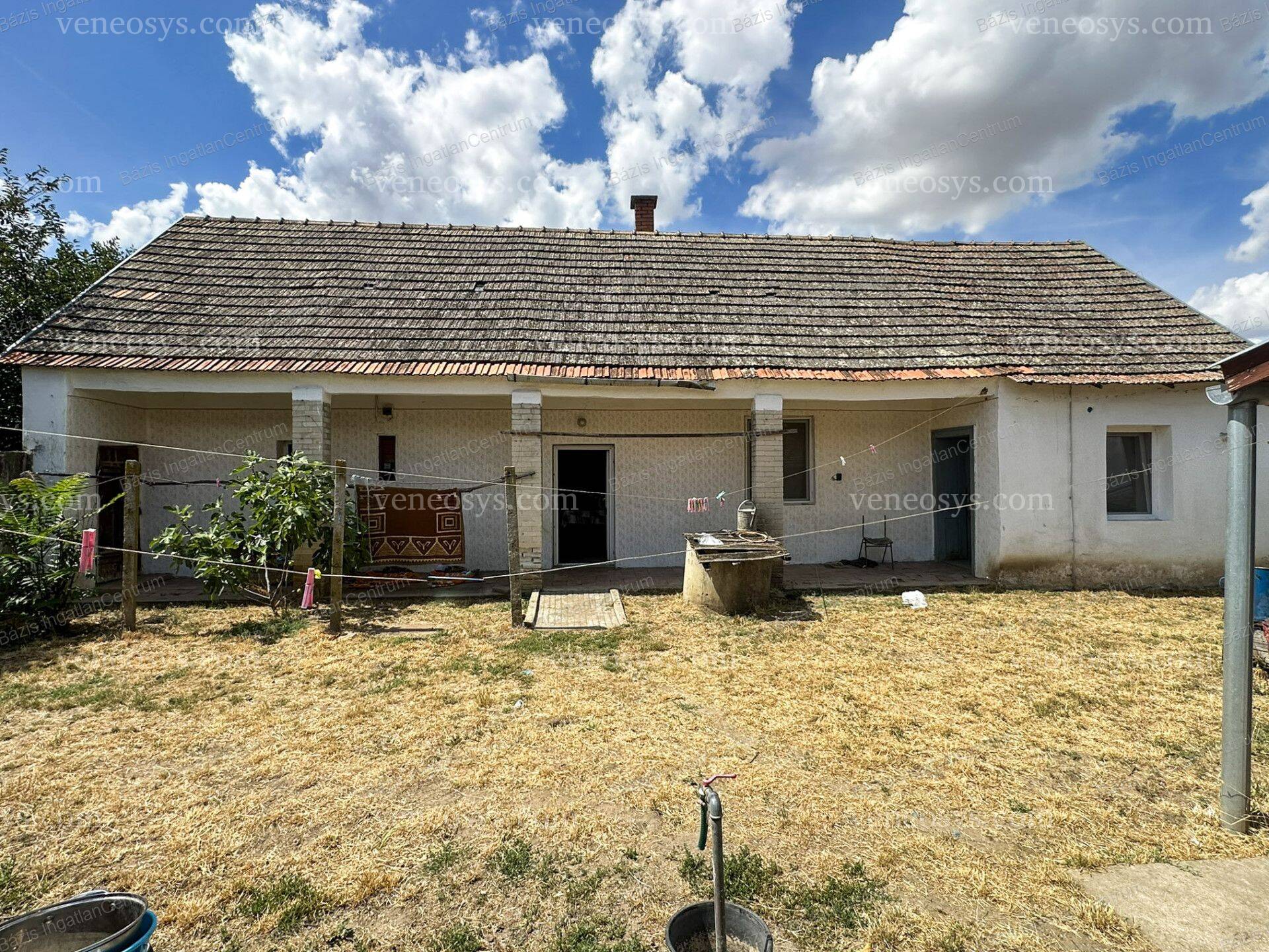 Kép 12