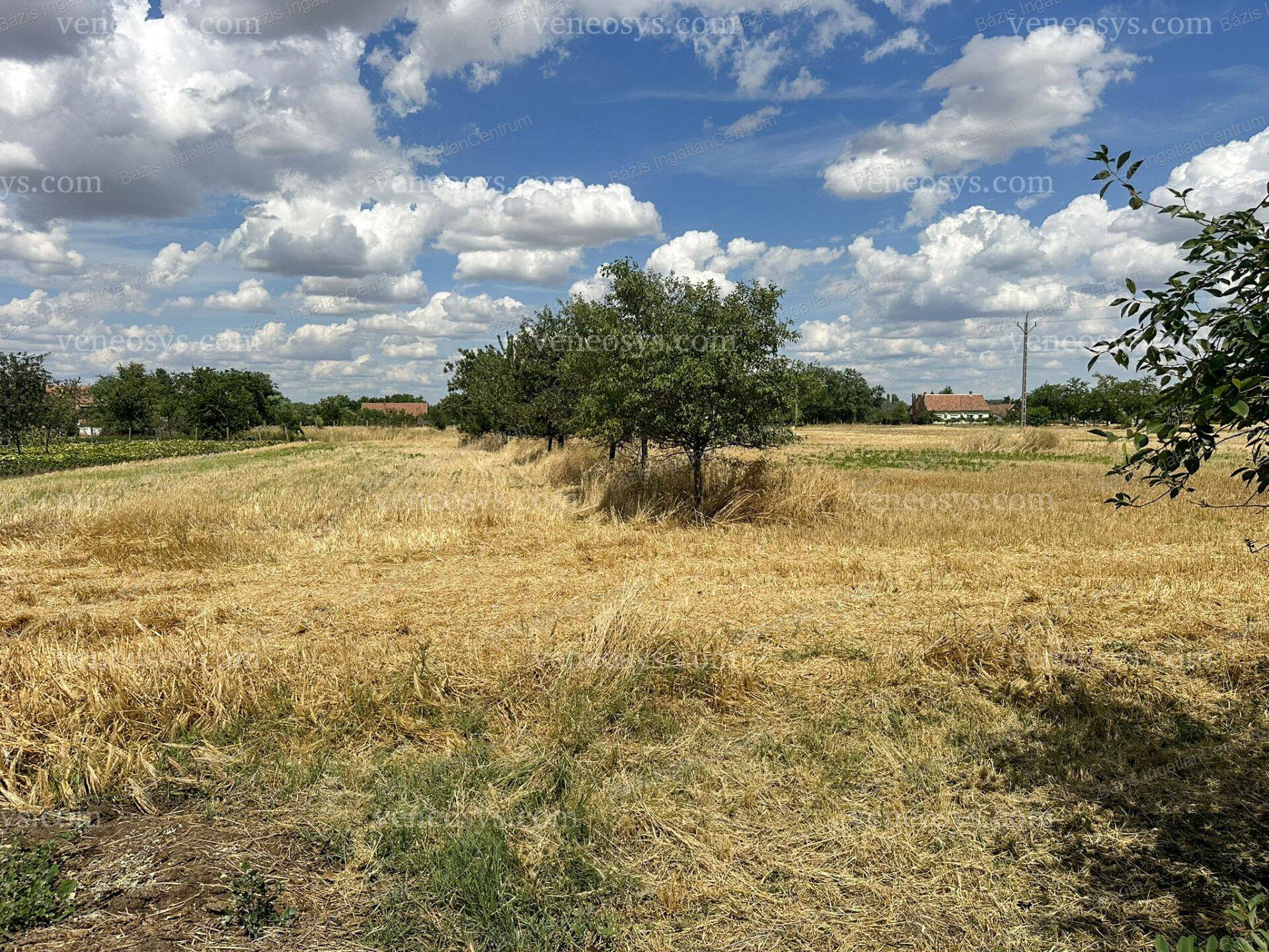 Kép 24