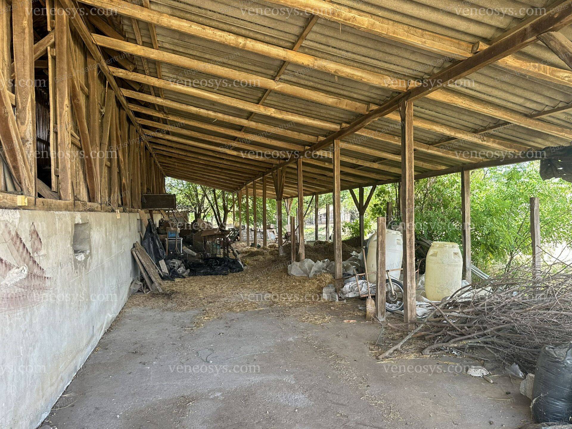Kép 8